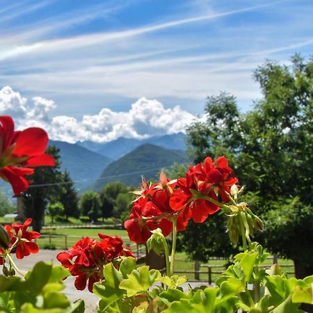 Albergo Ristorante Innocenti Ardenno Eksteriør bilde